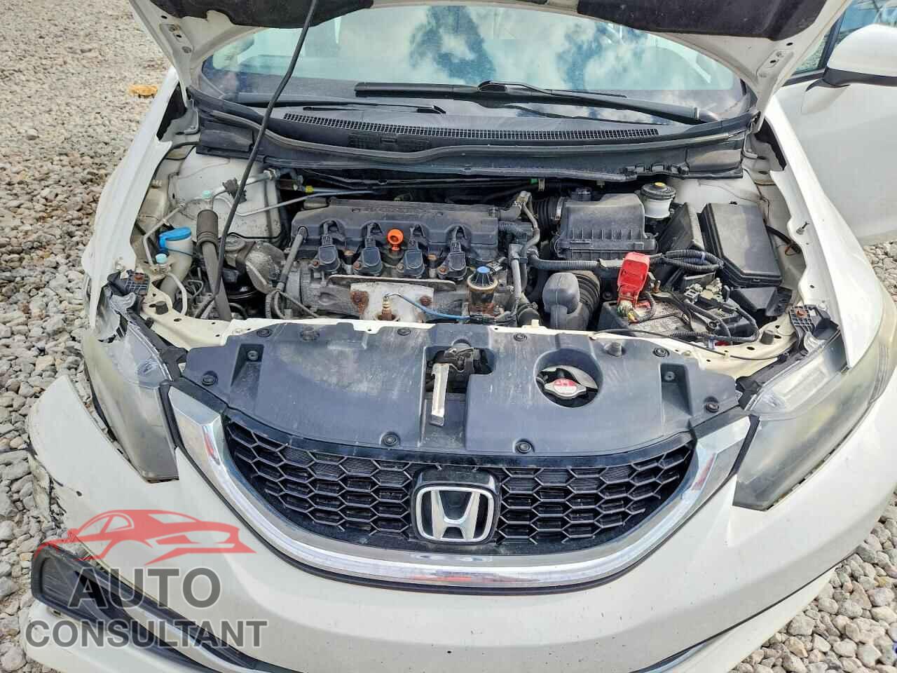 HONDA CIVIC 2015 - 2HGFB2F81FH551038