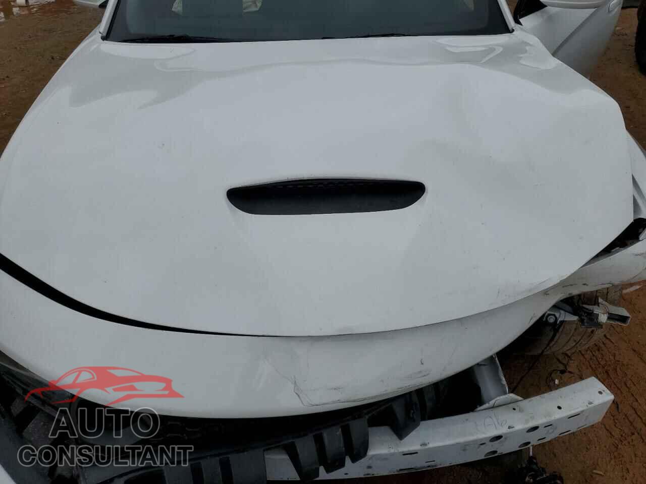 DODGE CHARGER 2019 - 2C3CDXGJ4KH605893