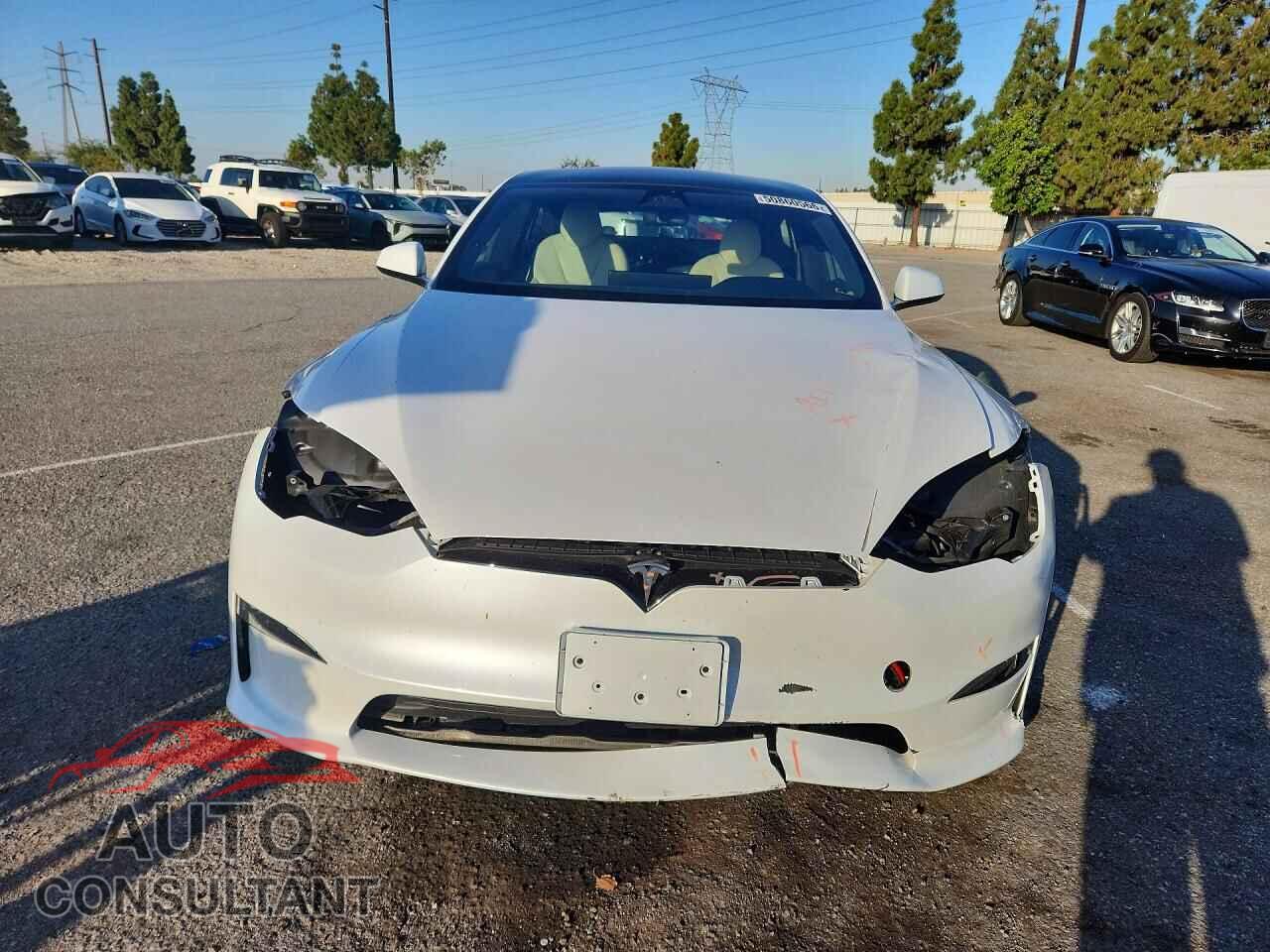 TESLA MODEL S 2023 - 5YJSA1E59PF516191