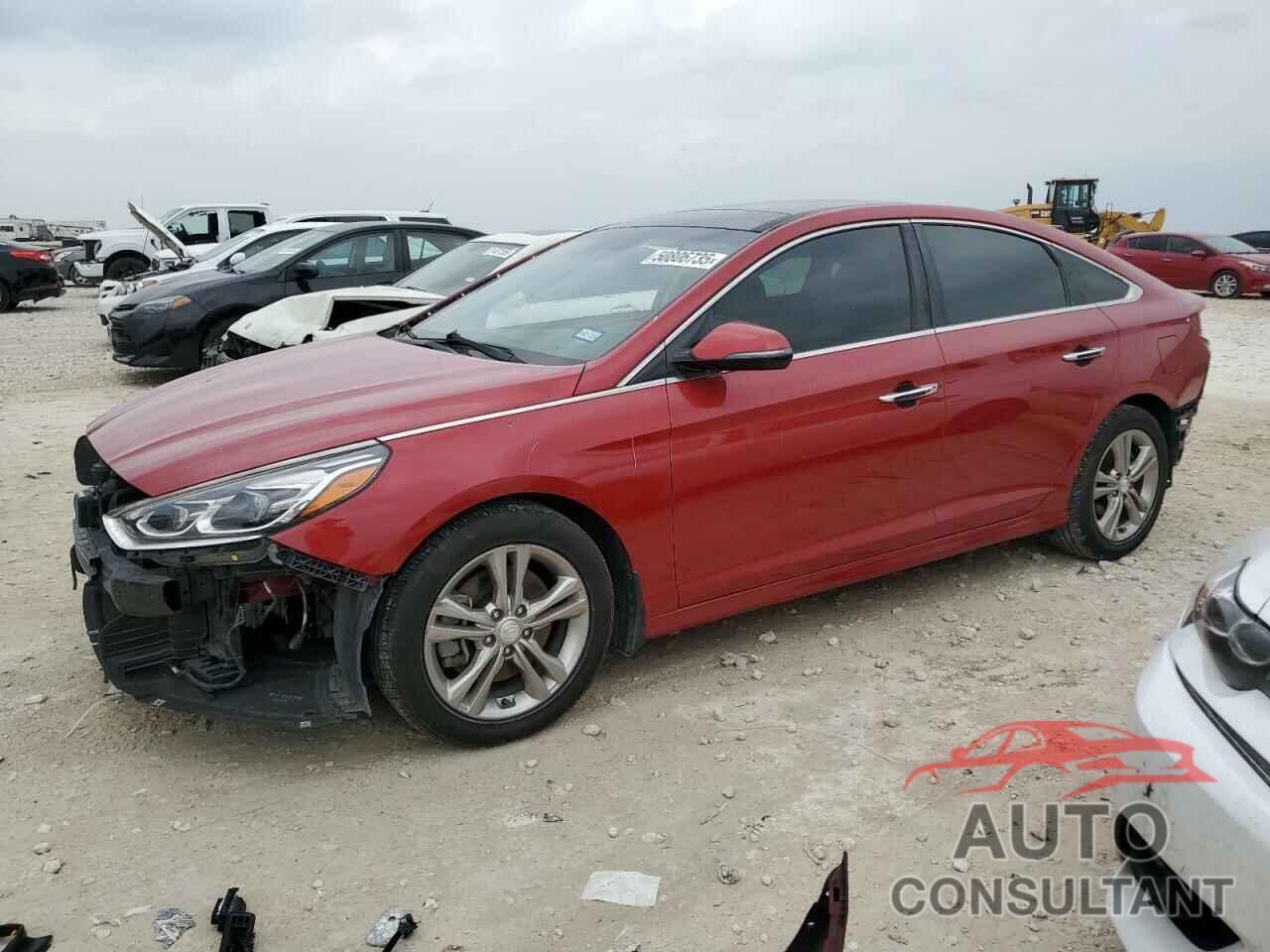 HYUNDAI SONATA 2019 - 5NPE34AF4KH805464