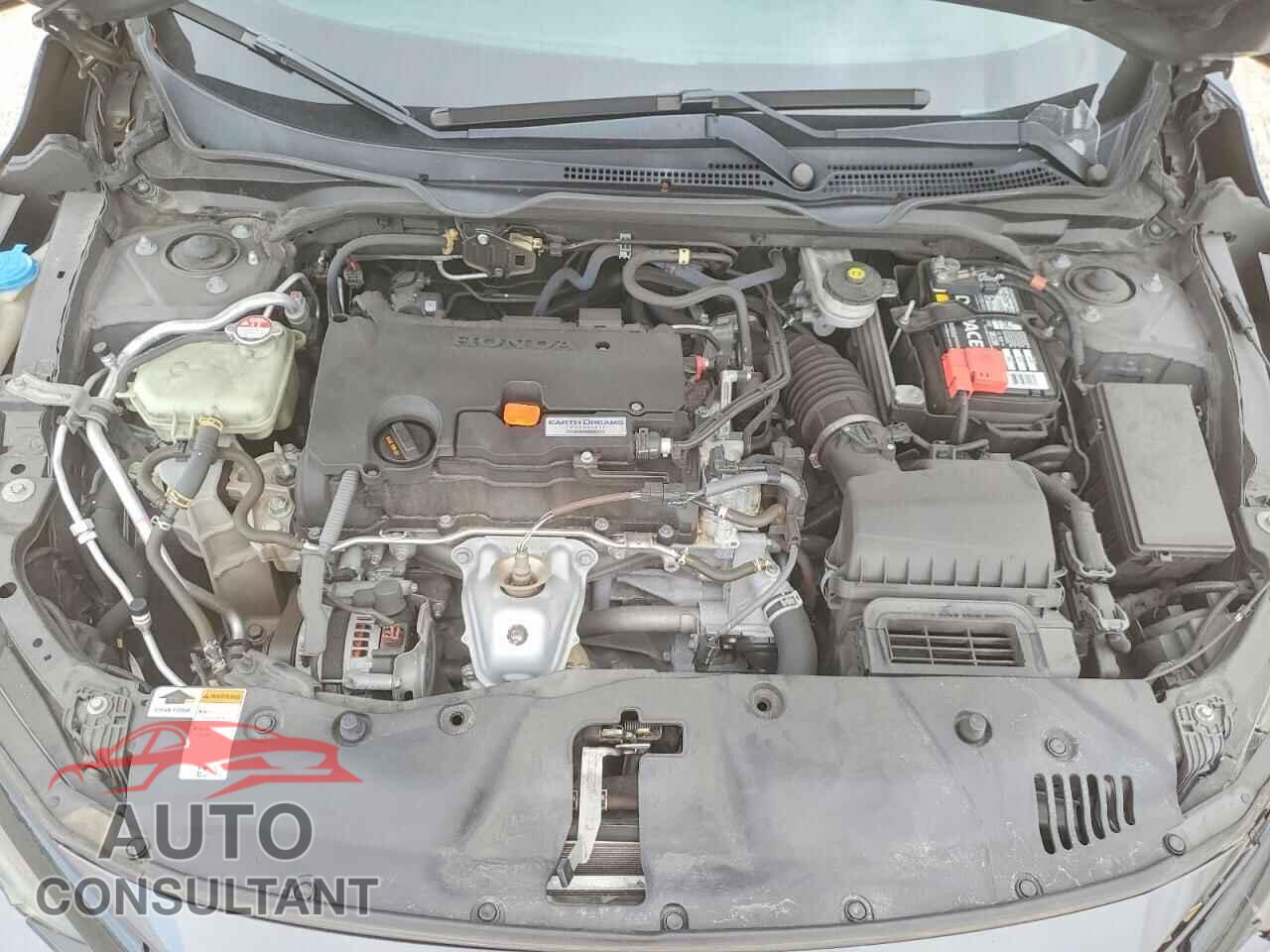 HONDA CIVIC 2019 - 2HGFC2F82KH556689