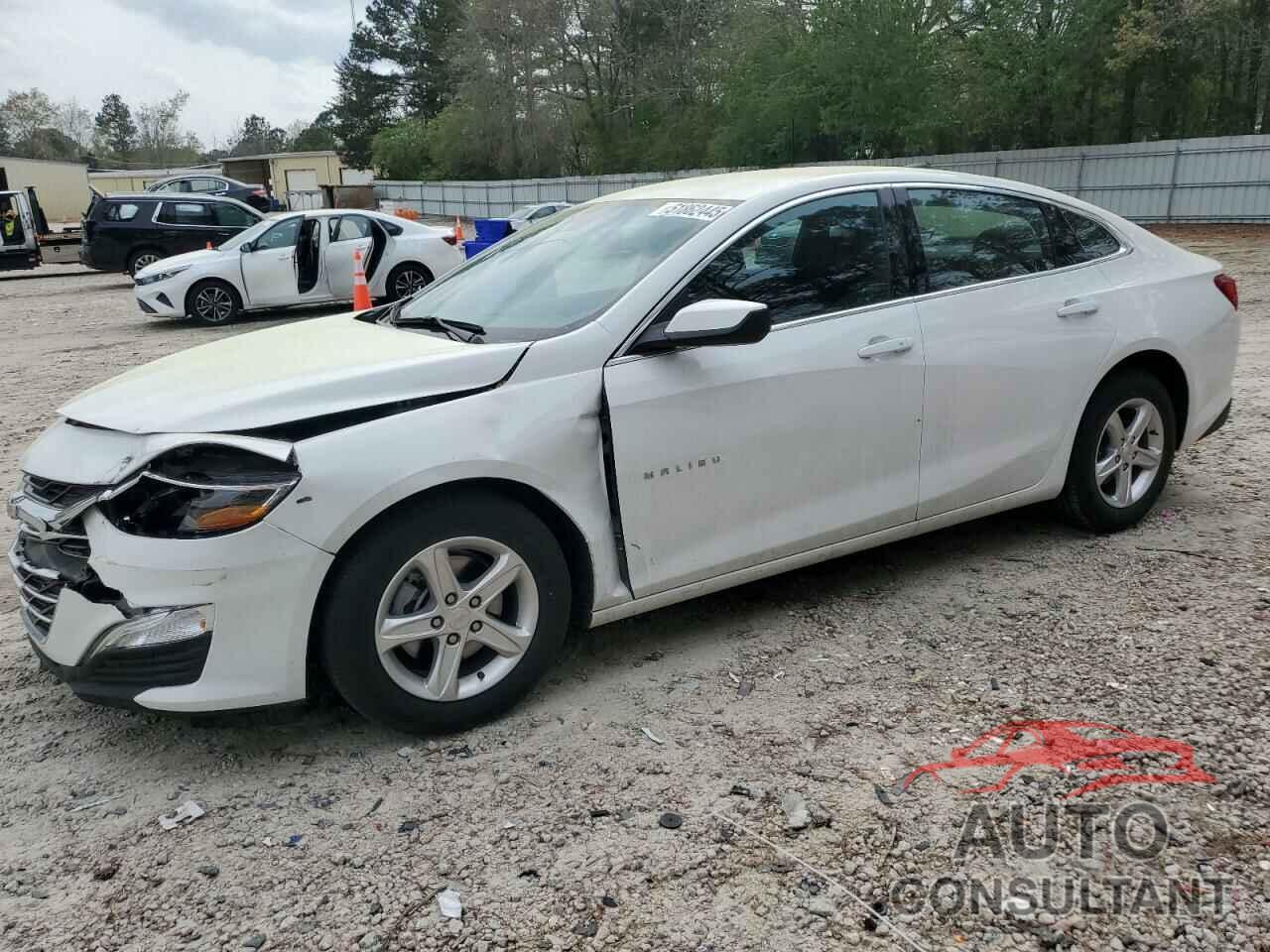 CHEVROLET MALIBU 2024 - 1G1ZC5ST4RF147959
