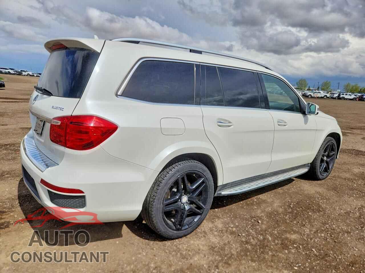 MERCEDES-BENZ GL-CLASS 2014 - 4JGDF2EE2EA433946