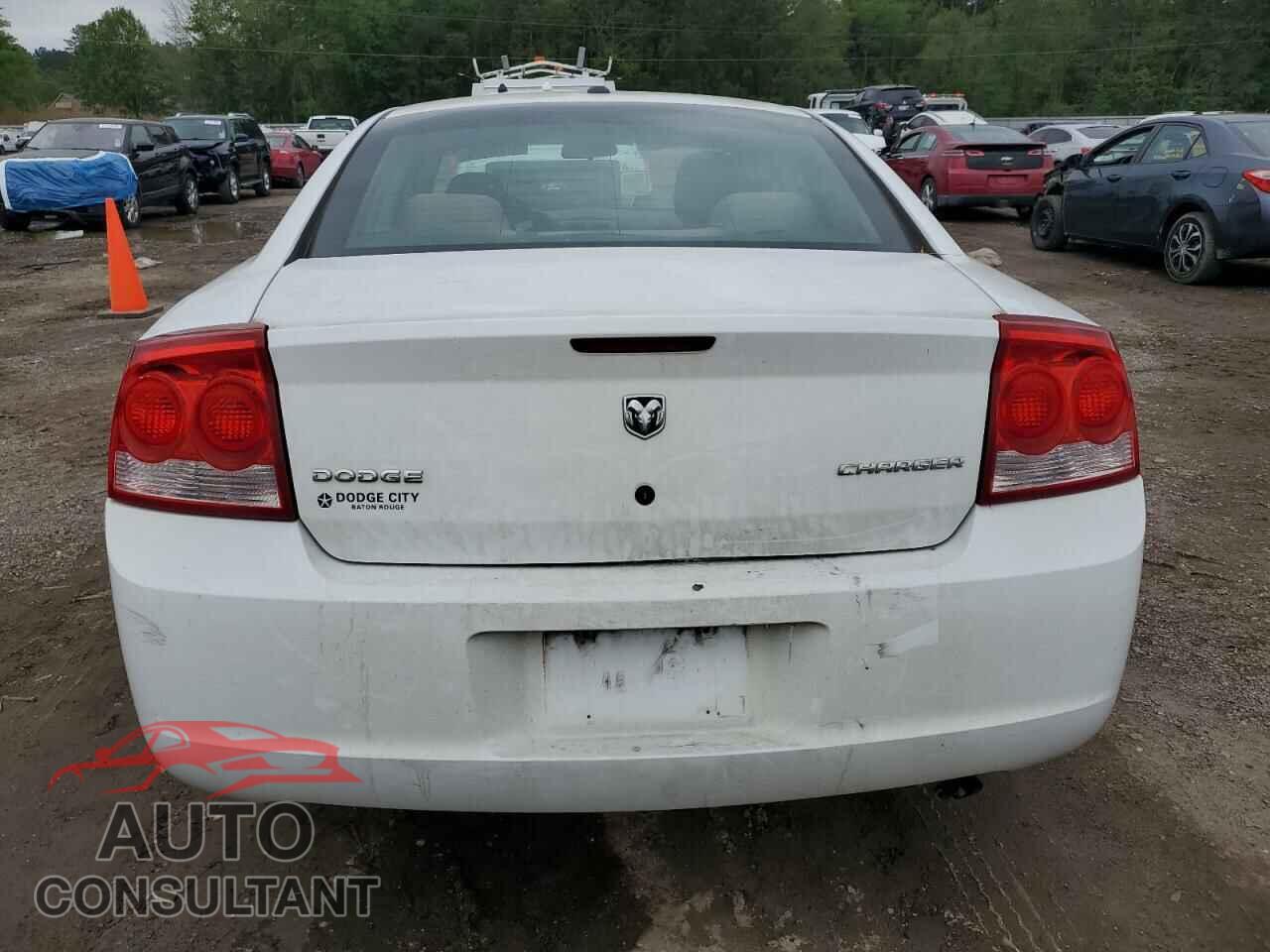 DODGE CHARGER 2010 - 2B3CA2CV4AH271882