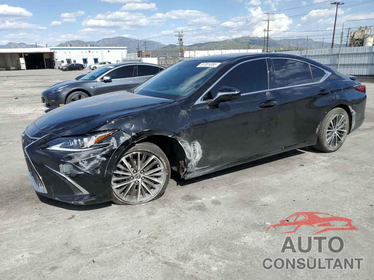 LEXUS ES300 2024 - 58ADA1C15RU051562