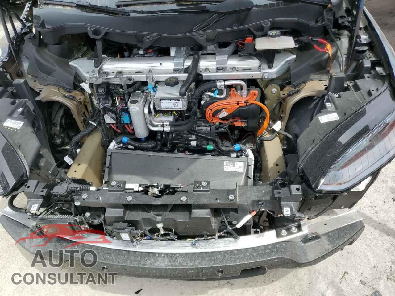 TESLA MODEL X 2024 - 7SAXCDE54RF445327
