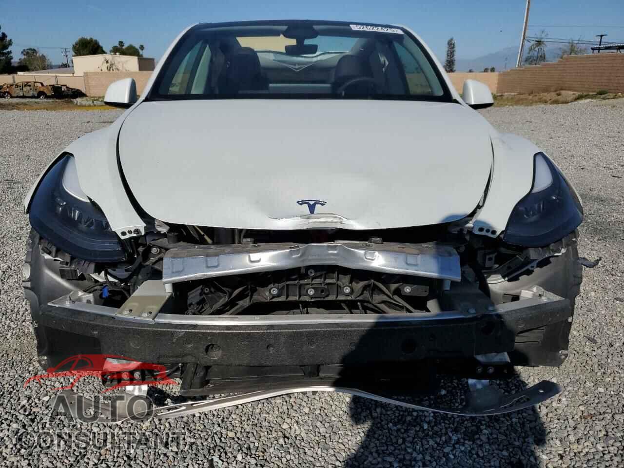 TESLA MODEL Y 2024 - 7SAYGDEF2RF061404