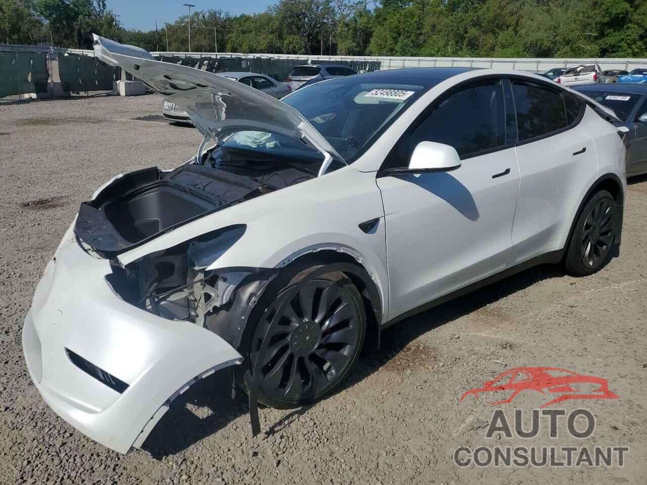 TESLA MODEL Y 2024 - 7SAYGDEF4RF064210