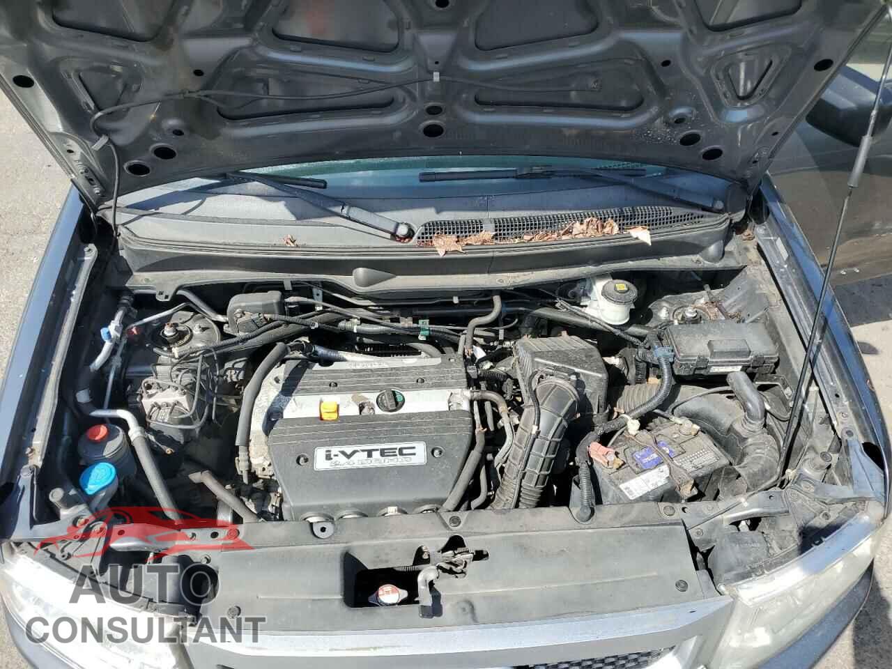 HONDA ELEMENT 2011 - 5J6YH2H74BL006047