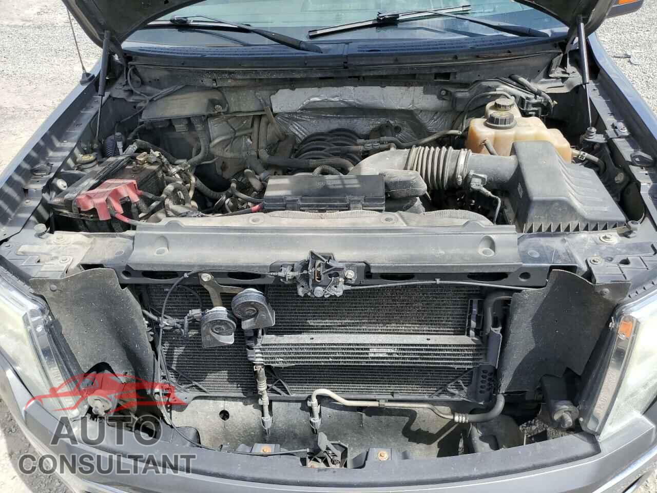FORD F-150 2012 - 1FTFX1EF3CFA11228