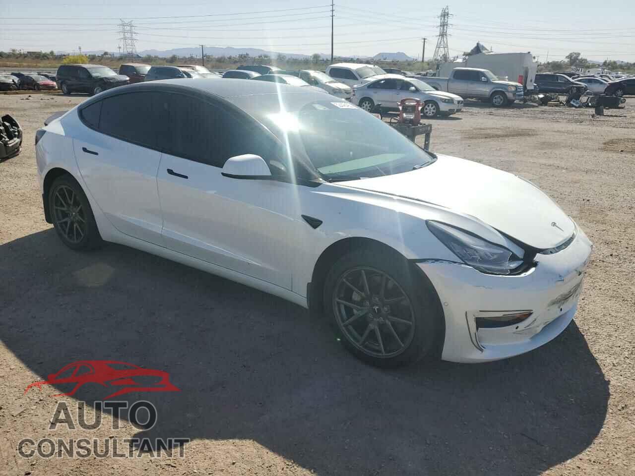 TESLA MODEL 3 2019 - 5YJ3E1EA3KF484269