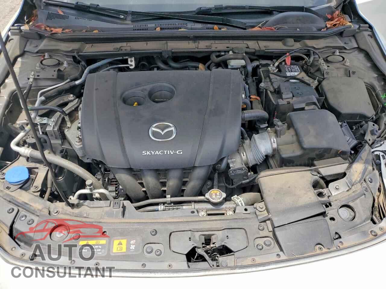 MAZDA 3 2019 - 3MZBPADL9KM106507
