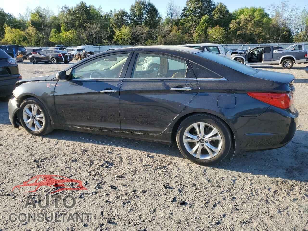 HYUNDAI SONATA 2013 - 5NPEC4AC3DH630388