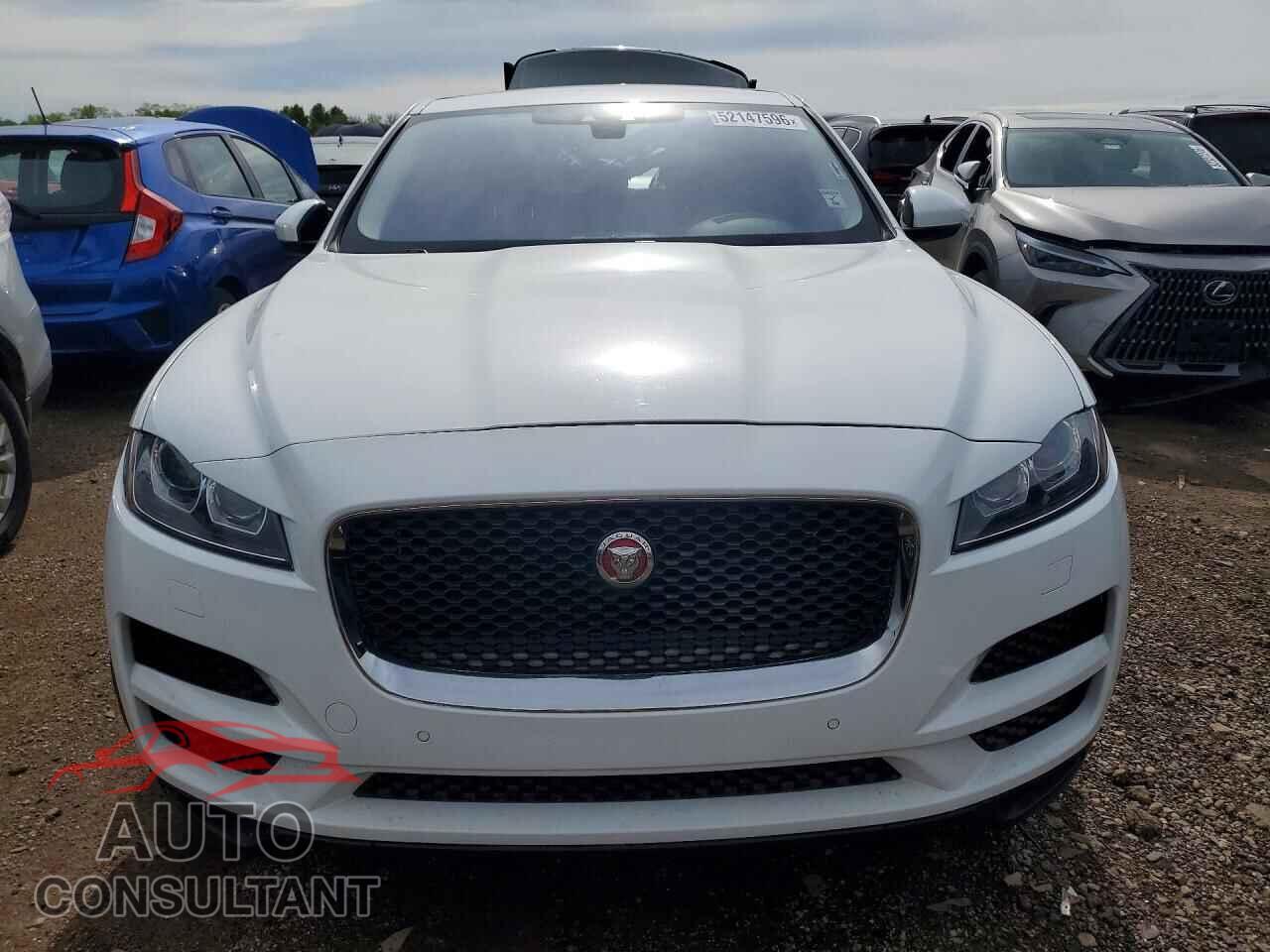 JAGUAR F-PACE 2019 - SADCK2GX8KA609232