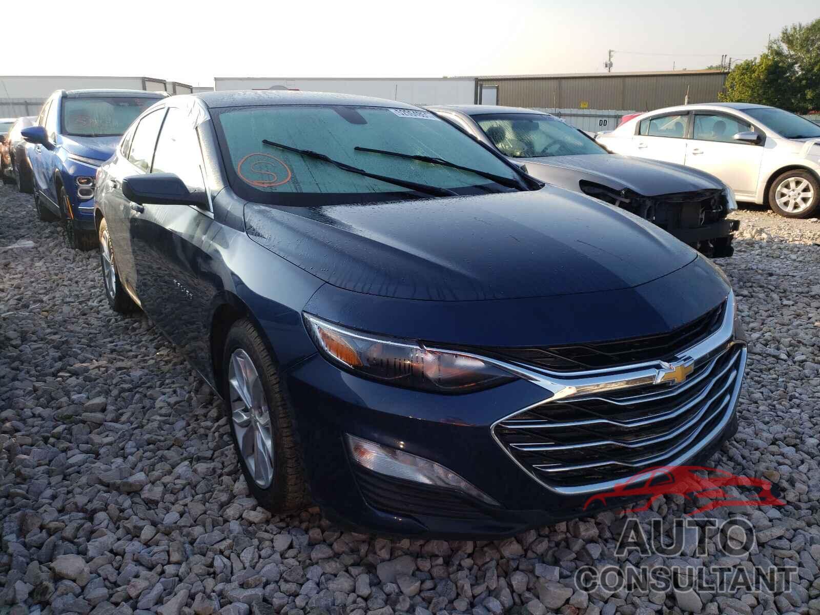 2019 MALIBU CHEVROLET