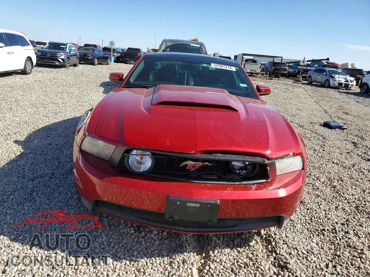 FORD MUSTANG 2011 - 1ZVBP8CF8B5142764