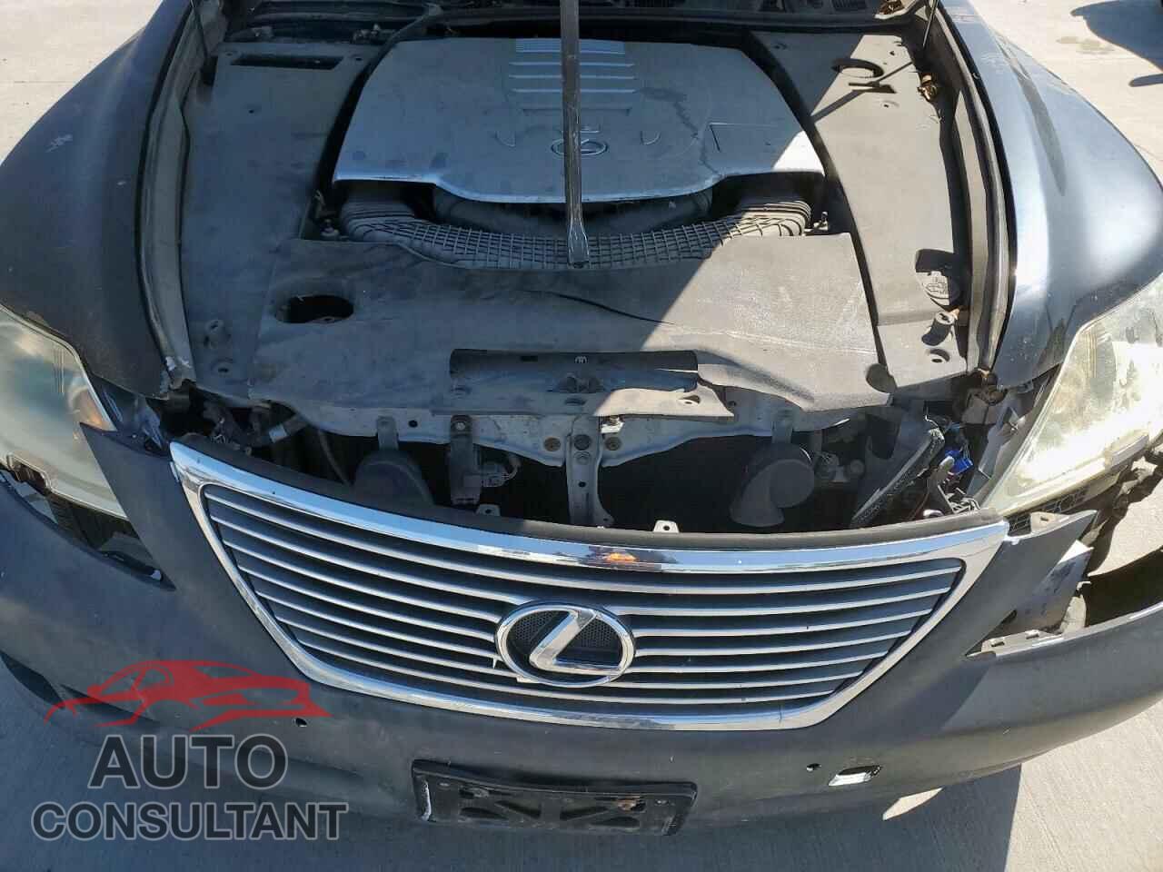 LEXUS LS460 2009 - JTHBL46F195087957