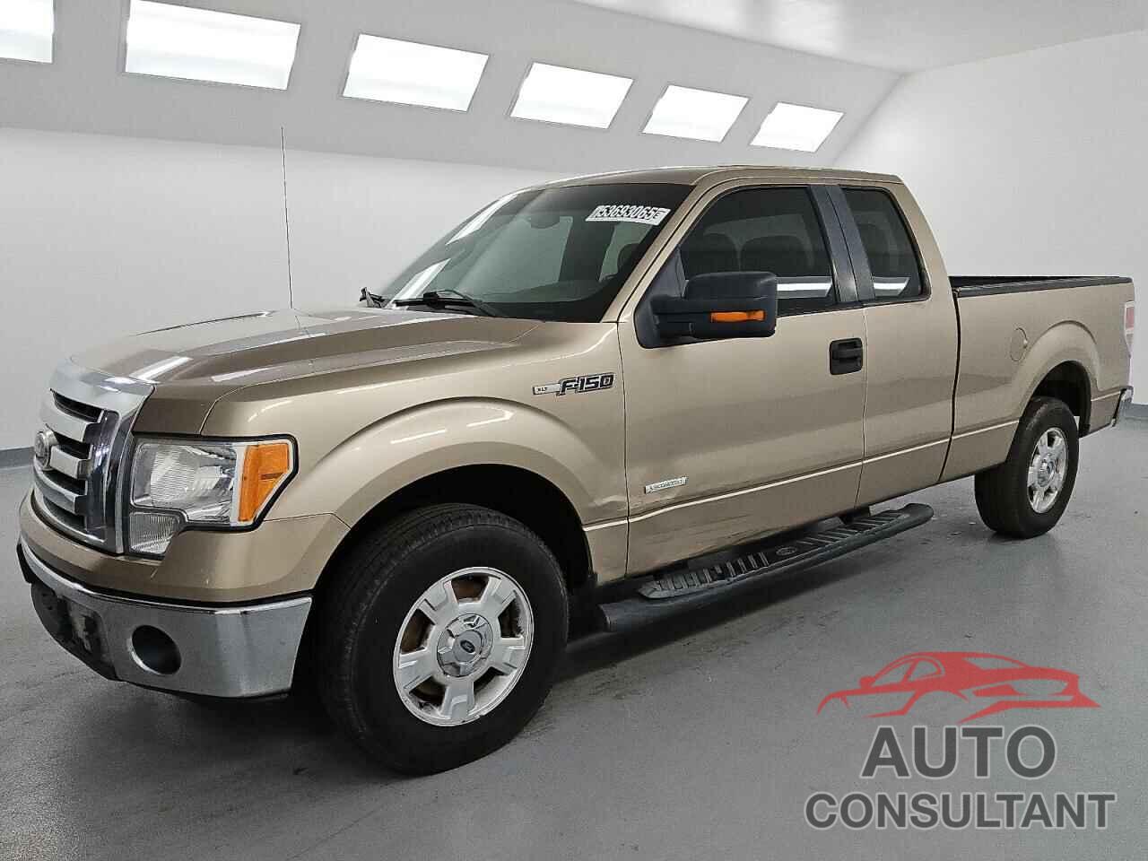 FORD F-150 2012 - 1FTFX1CT4CFA69034
