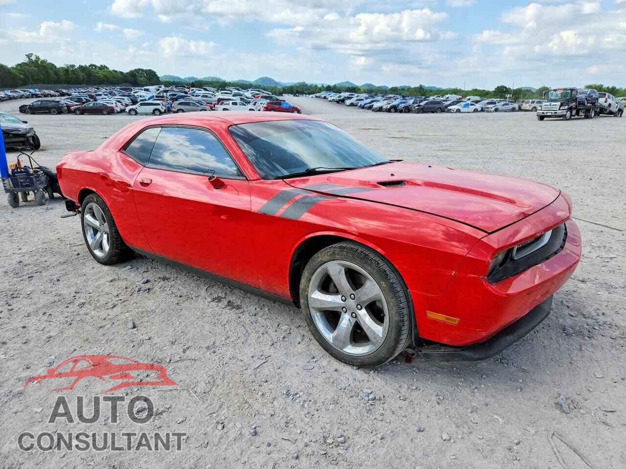 DODGE CHALLENGER 2014 - 2C3CDYAG2EH204298