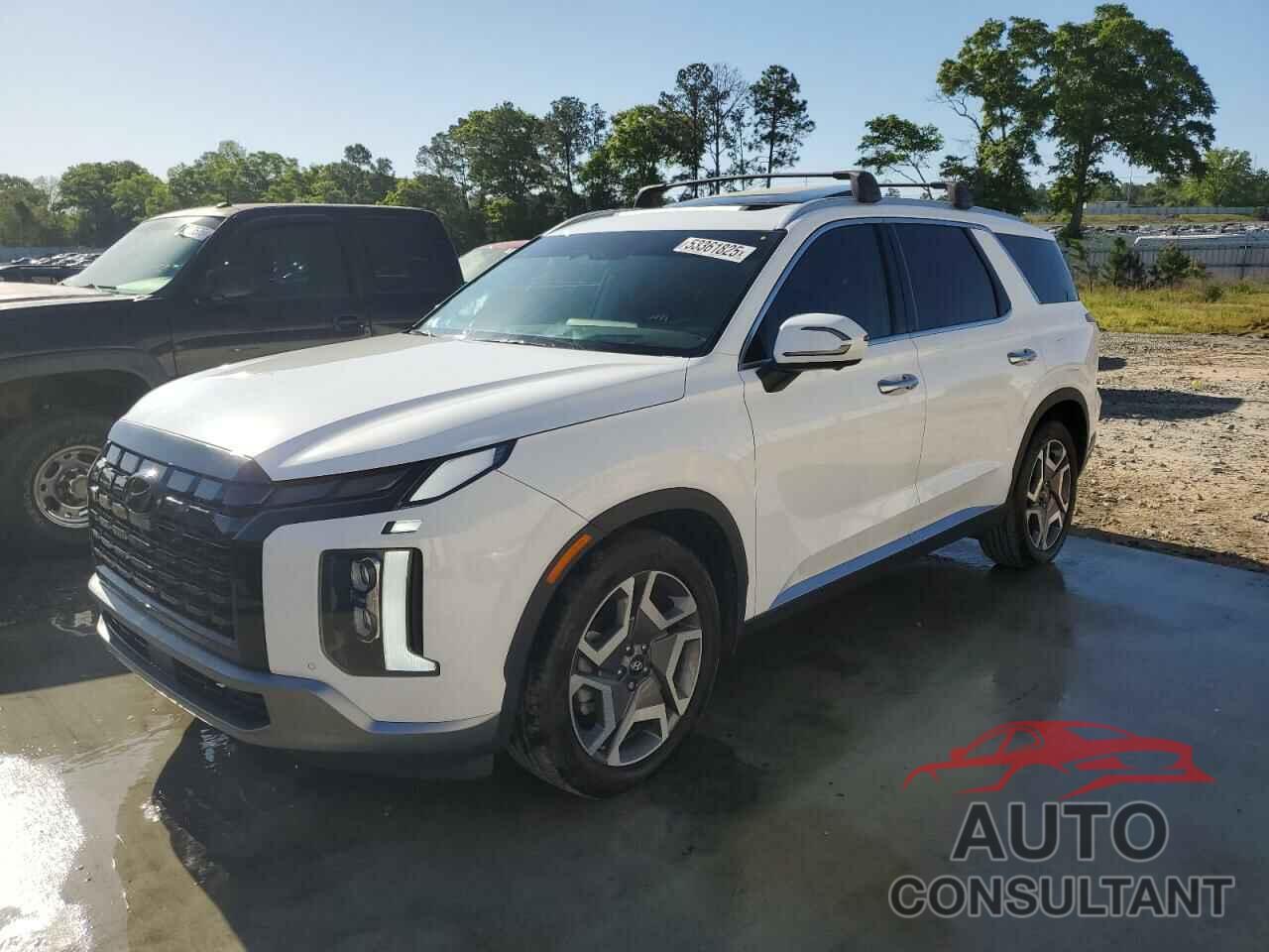 HYUNDAI PALISADE 2024 - KM8R54GE5RU674938