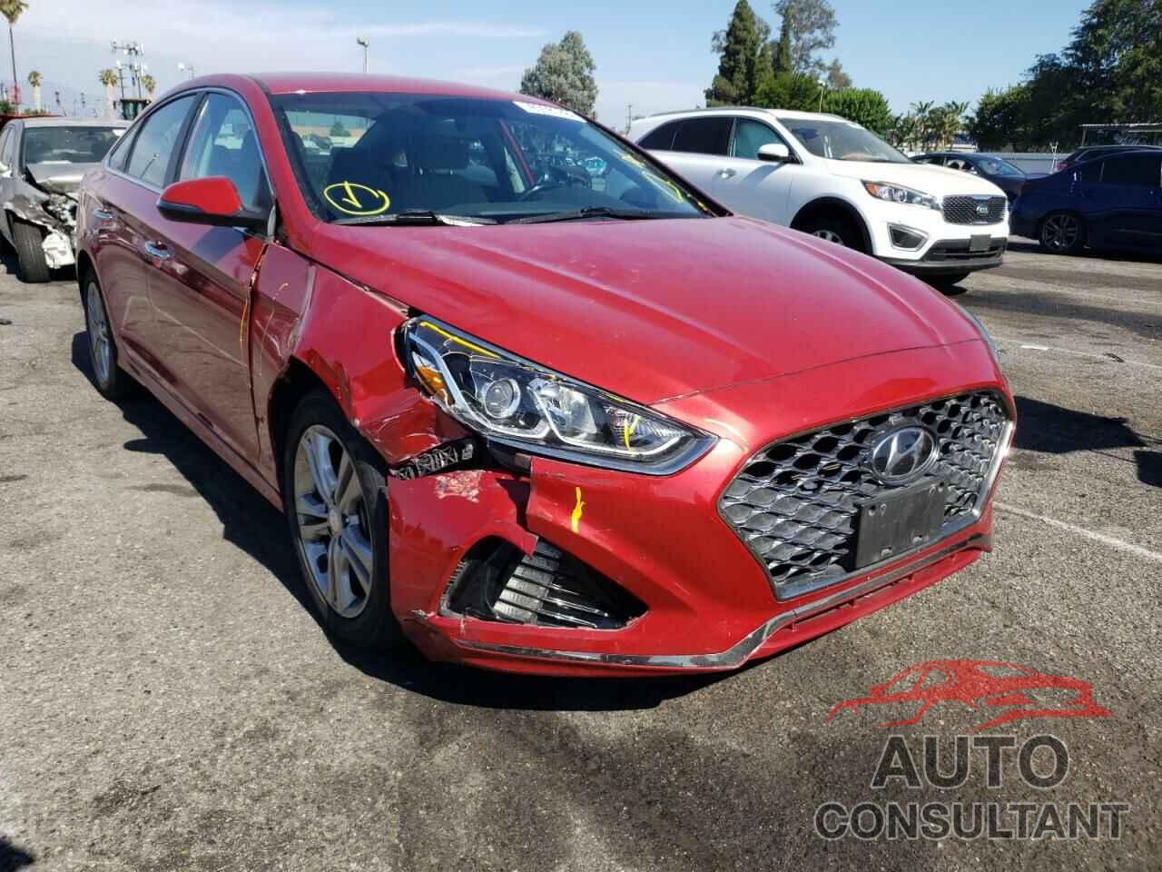 HYUNDAI SONATA 2019 - 5NPE34AFXKH777556