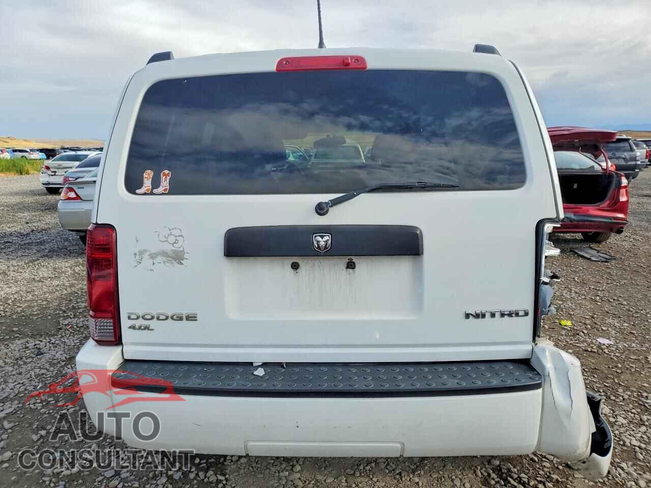 DODGE NITRO 2011 - 1D4PU4GX7BW587457