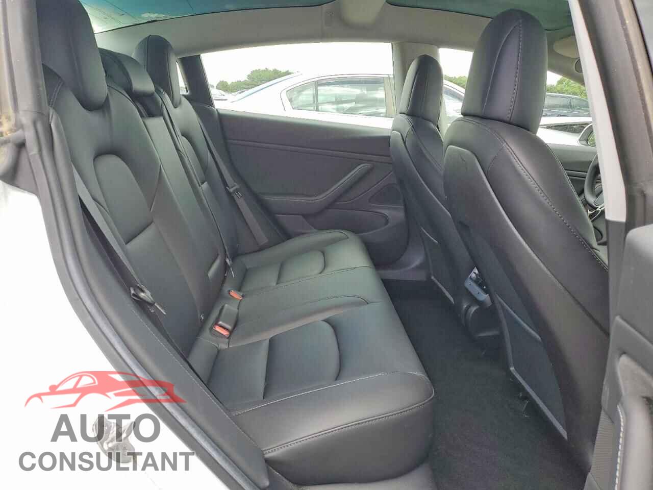 TESLA MODEL 3 2019 - 5YJ3E1EA9KF483241