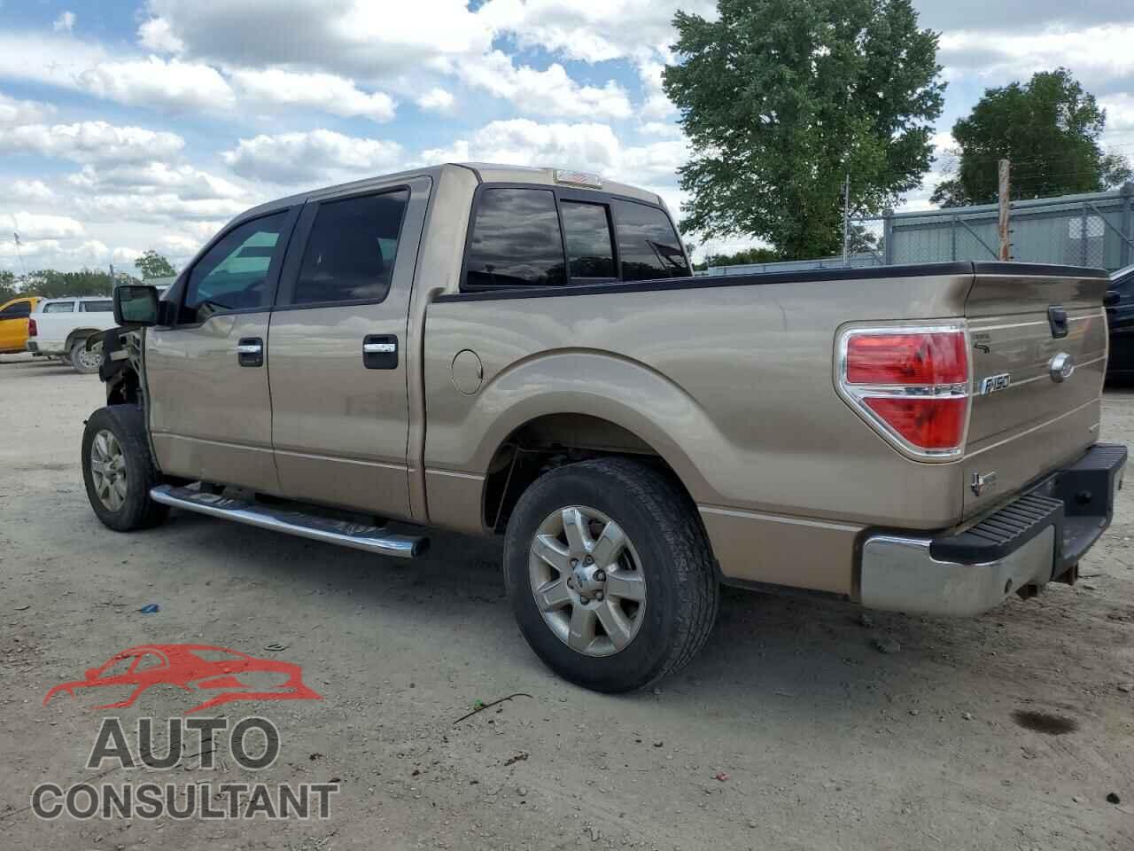 FORD F-150 2013 - 1FTFW1CF7DKF03887