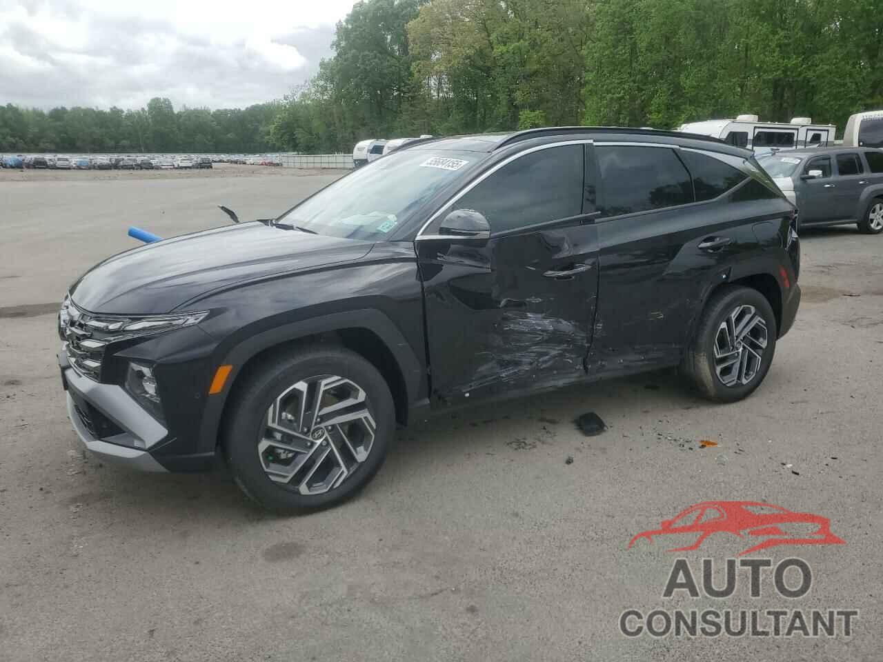 HYUNDAI TUCSON 2025 - KM8JEDD16SU302268