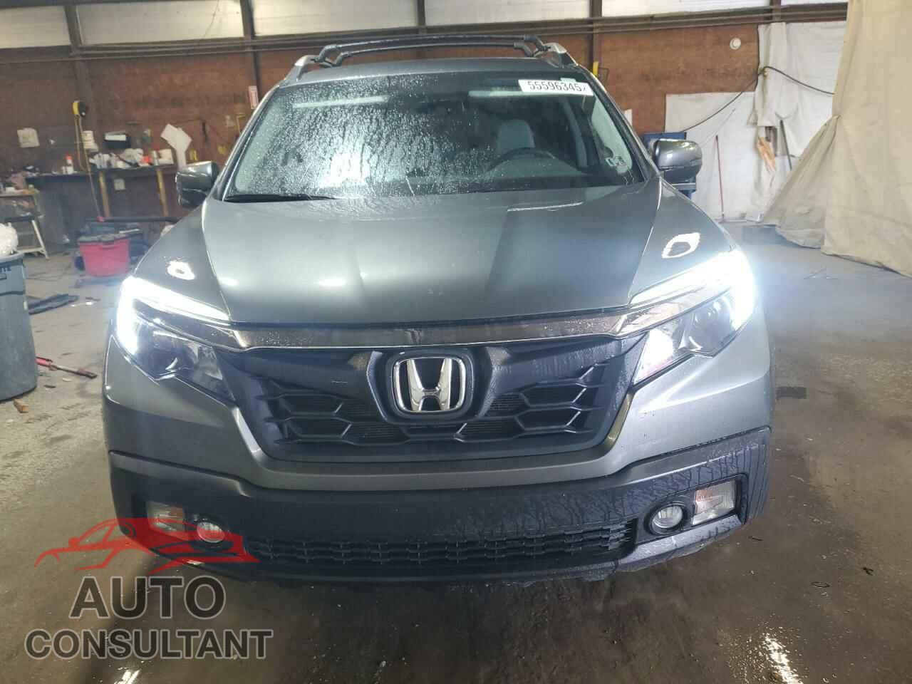 HONDA RIDGELINE 2017 - 5FPYK3F60HB028329