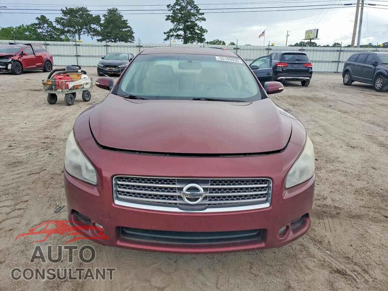NISSAN MAXIMA 2010 - 1N4AA5AP8AC804546