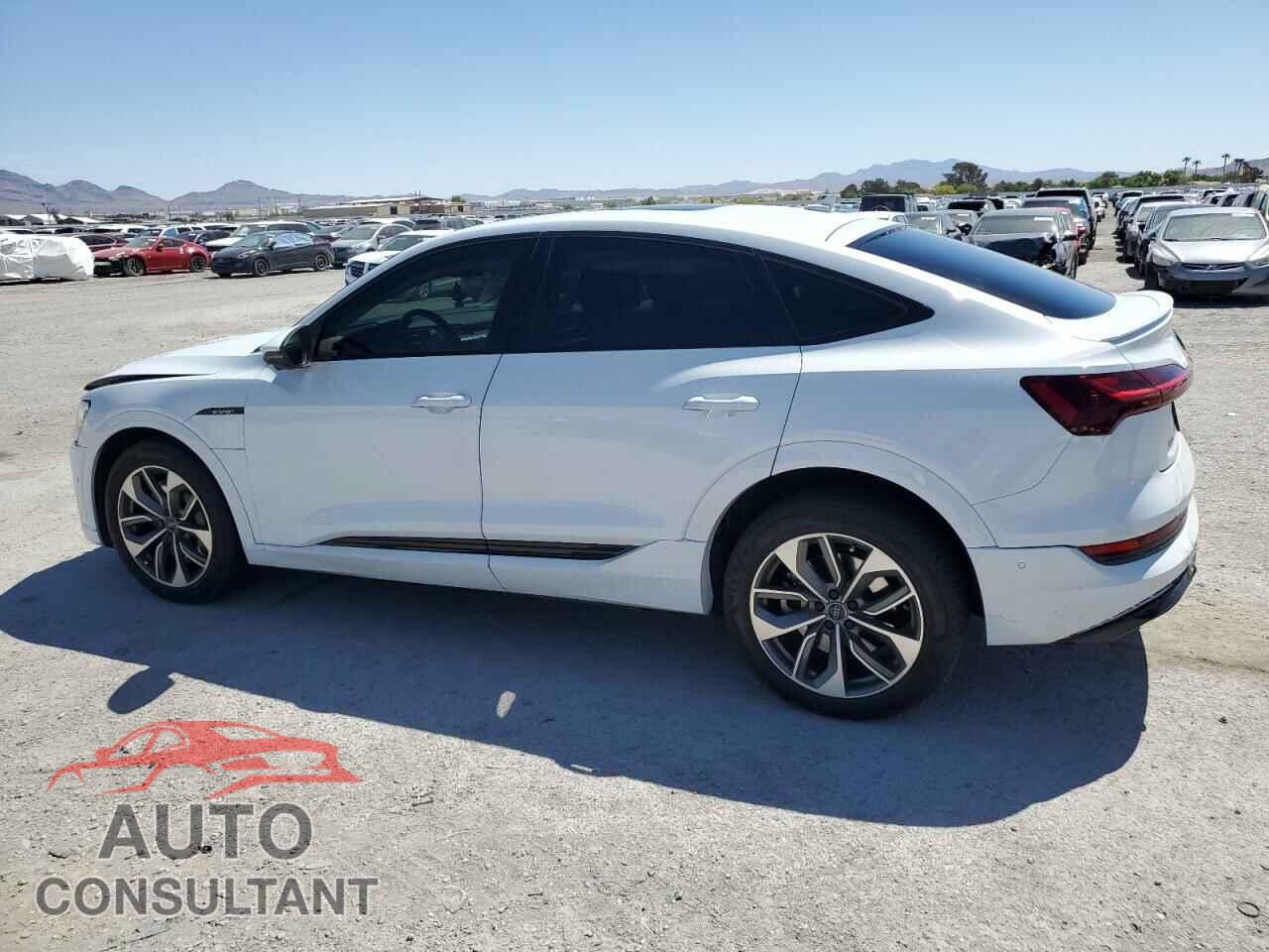 AUDI E-TRON 2021 - WA12AAGE6MB001090