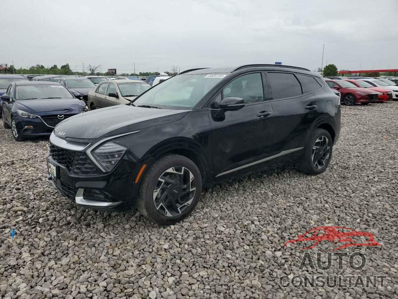 KIA SPORTAGE 2024 - 5XYK5CDF0RG201091
