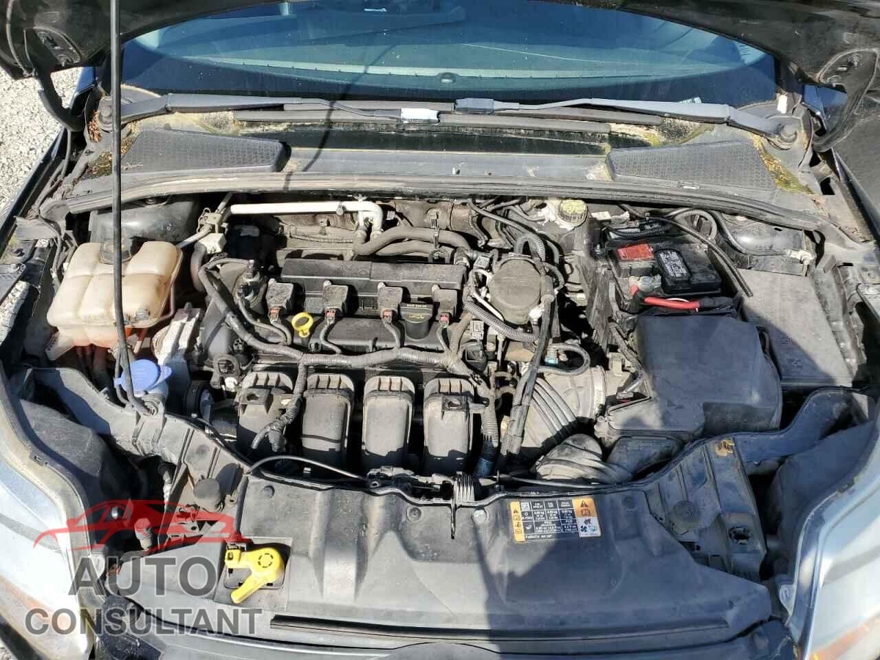 FORD FOCUS 2014 - 1FADP3K22EL287477