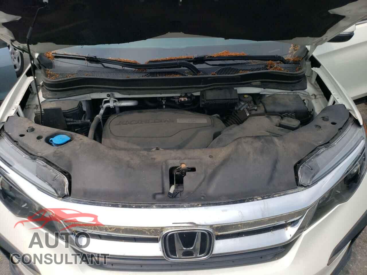 HONDA PILOT 2019 - 5FNYF6H46KB011956