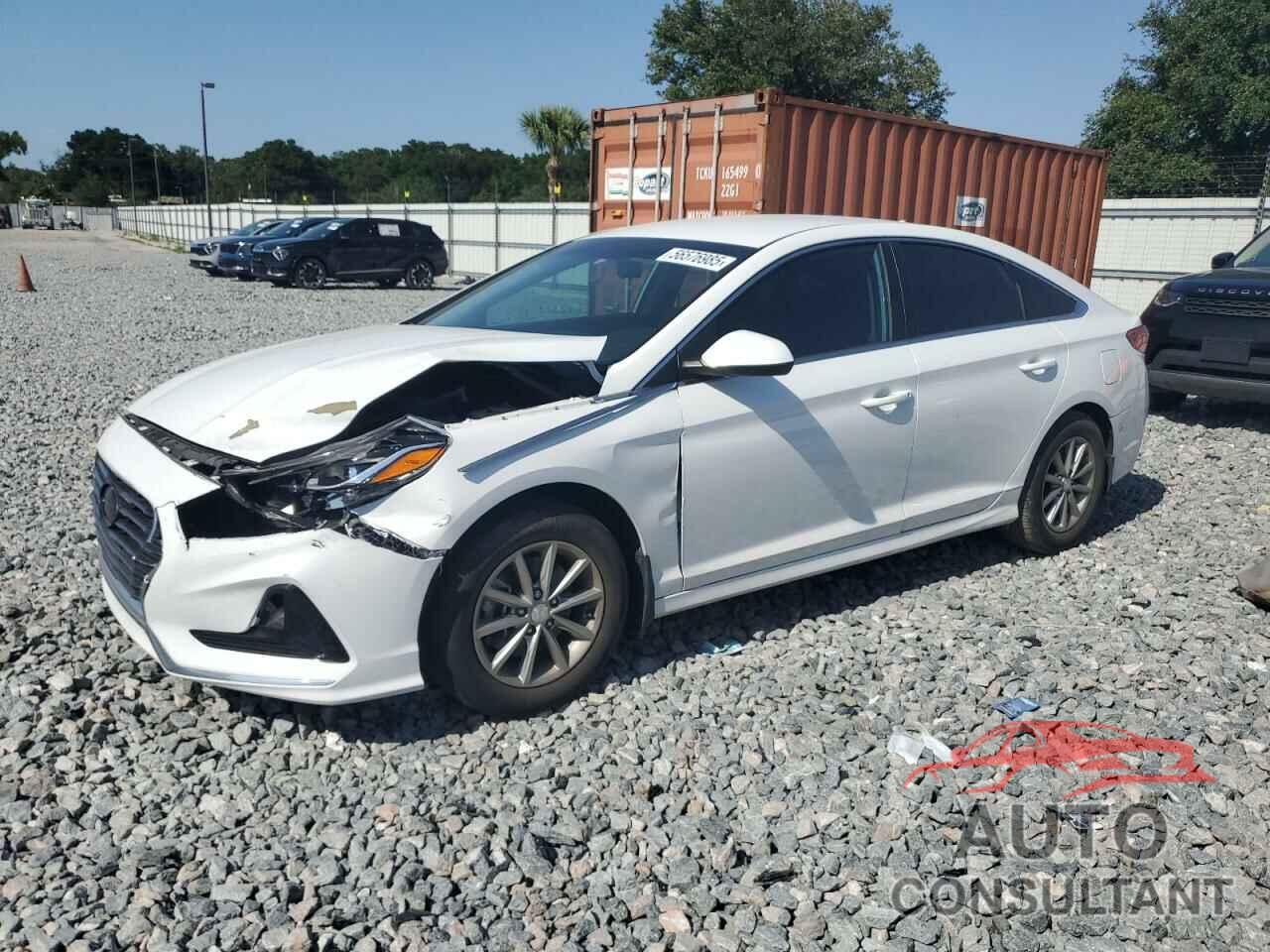 HYUNDAI SONATA 2019 - 5NPE24AF2KH751424