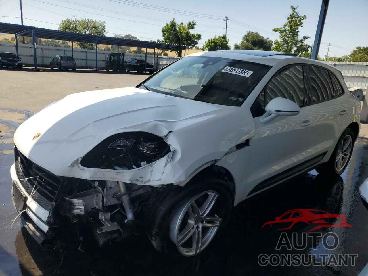 PORSCHE MACAN BASE 2024 - WP1AA2A55RLB16246