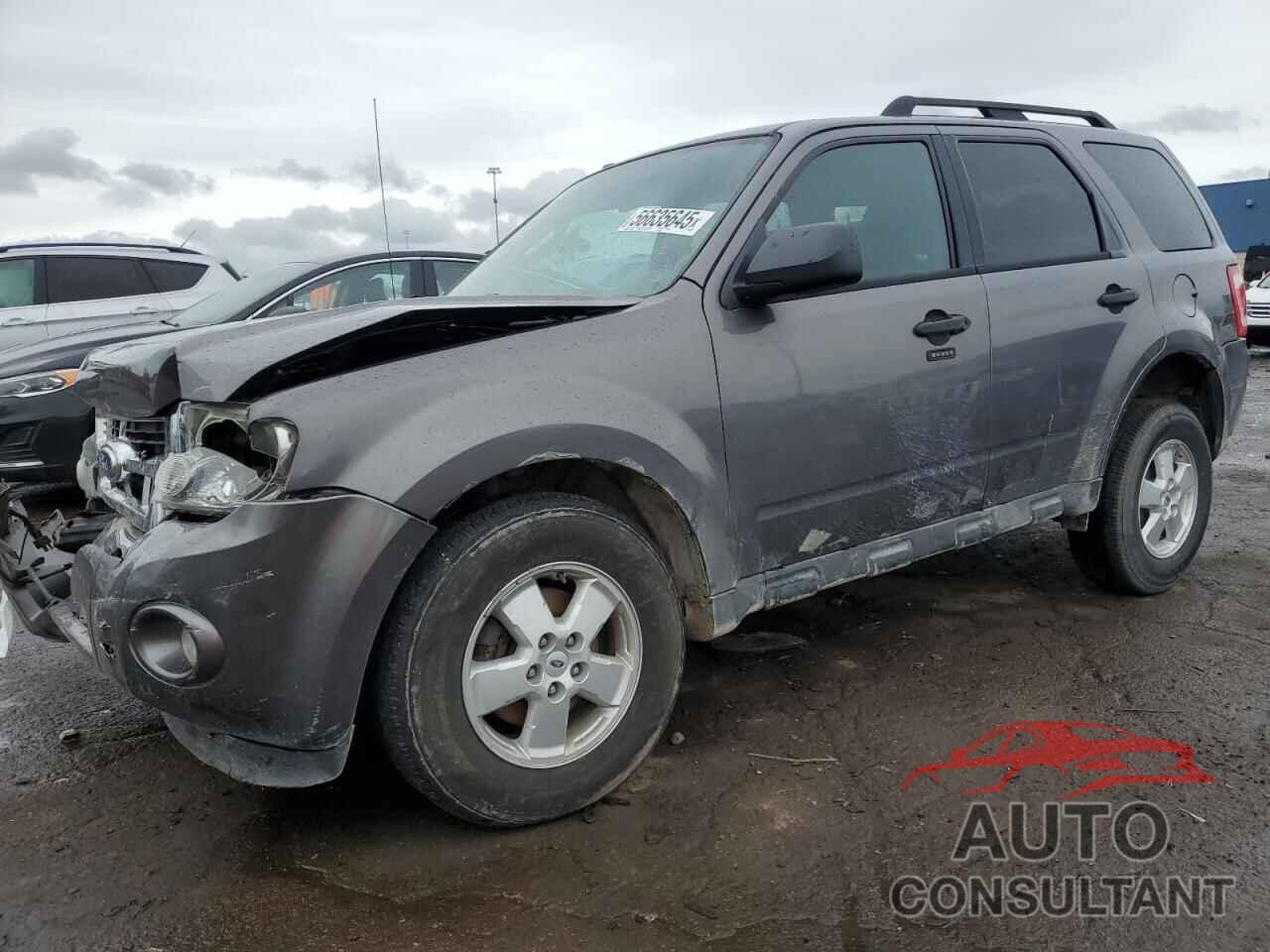 FORD ESCAPE 2011 - 1FMCU0D7XBKA64185