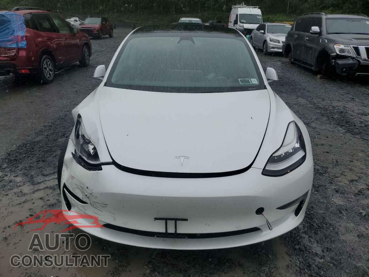 TESLA MODEL 3 2020 - 5YJ3E1EC9LF784594