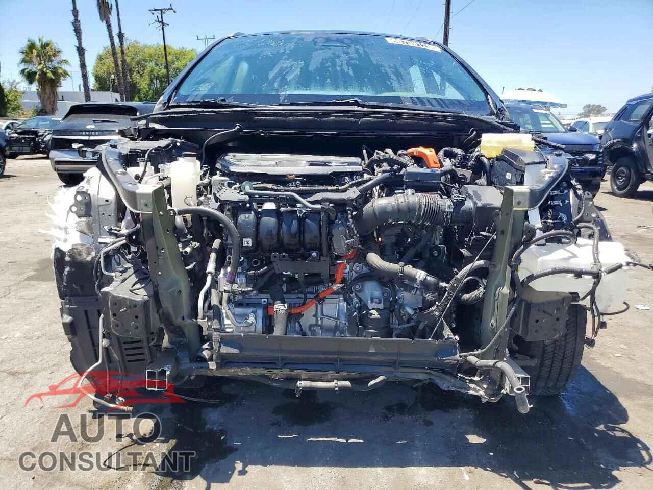 LEXUS UNKNOWN 2025 - 2T2BBMCA4SC073245