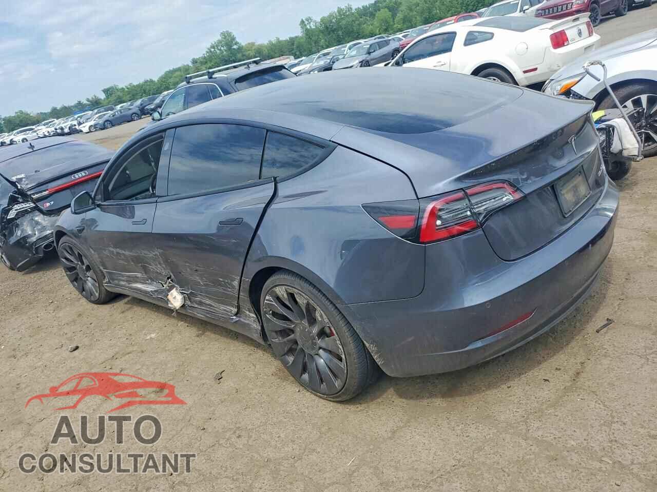 TESLA MODEL 3 2021 - 5YJ3E1EC0MF093116