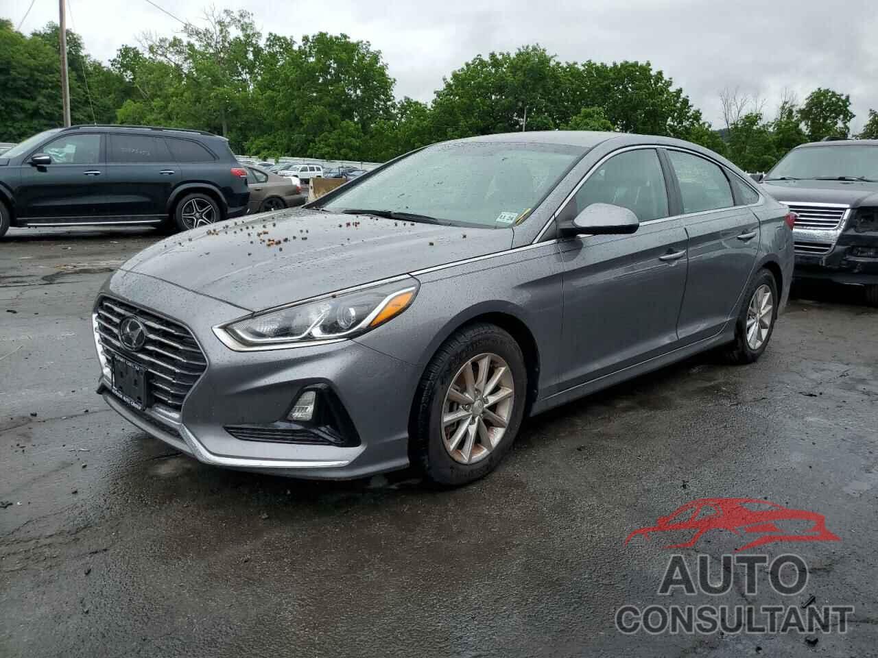 HYUNDAI SONATA 2019 - 5NPE24AF6KH745772