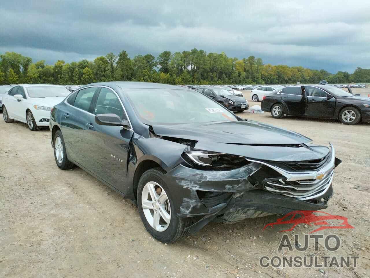 CHEVROLET MALIBU 2019 - 1G1ZB5ST4KF188438