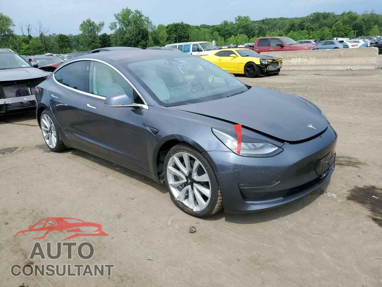 TESLA MODEL 3 2019 - 5YJ3E1EB8KF192674