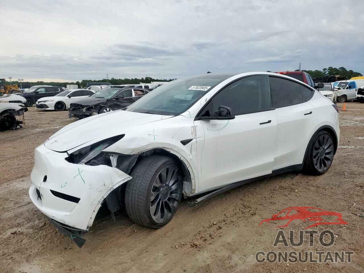 TESLA MODEL Y 2024 - 7SAYGDEF0RA266605