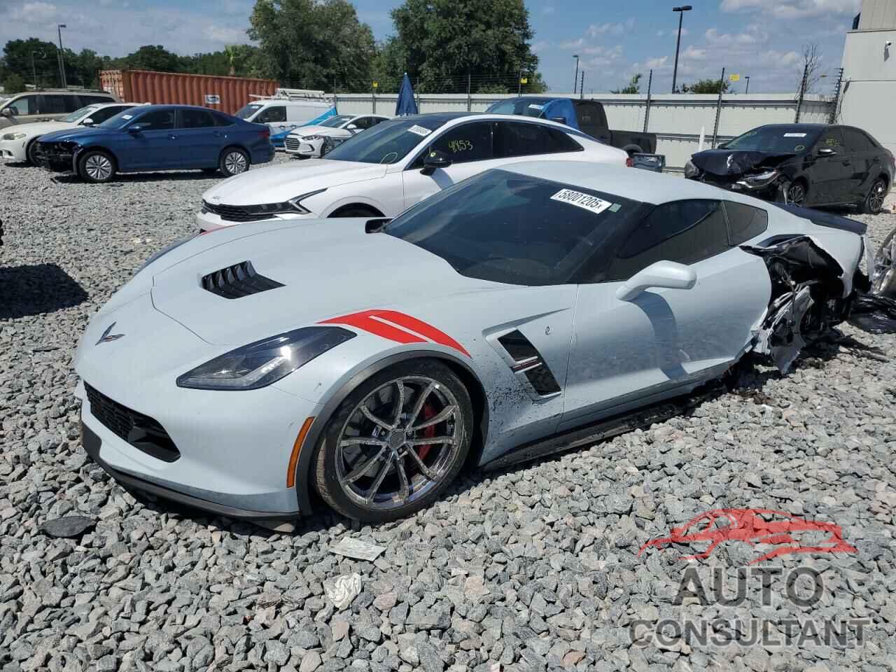 CHEVROLET CORVETTE 2019 - 1G1YY2D72K5113302