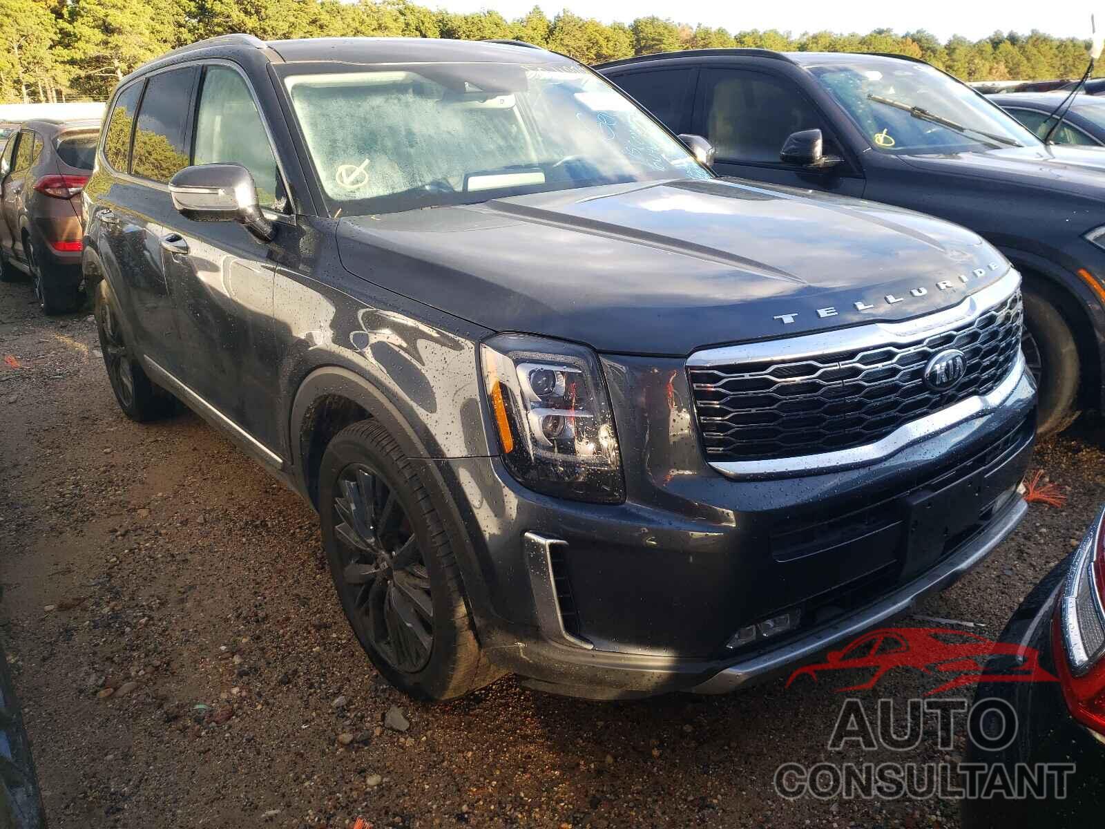 KIA TELLURIDE 2020 - 5XYP5DHCXLG034791