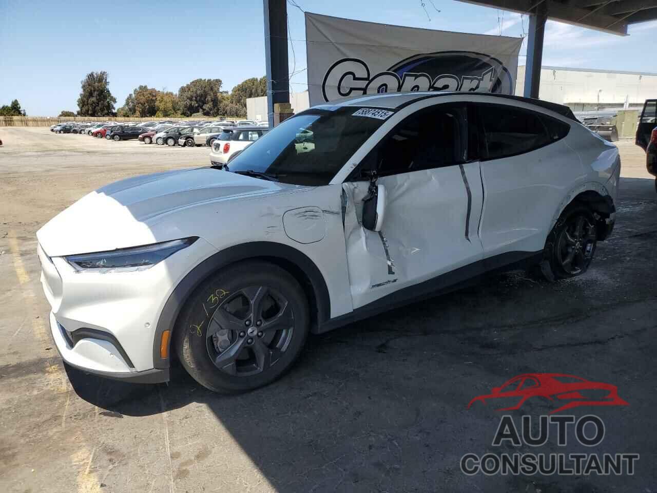 FORD MUSTANG 2021 - 3FMTK1RMXMMA43889