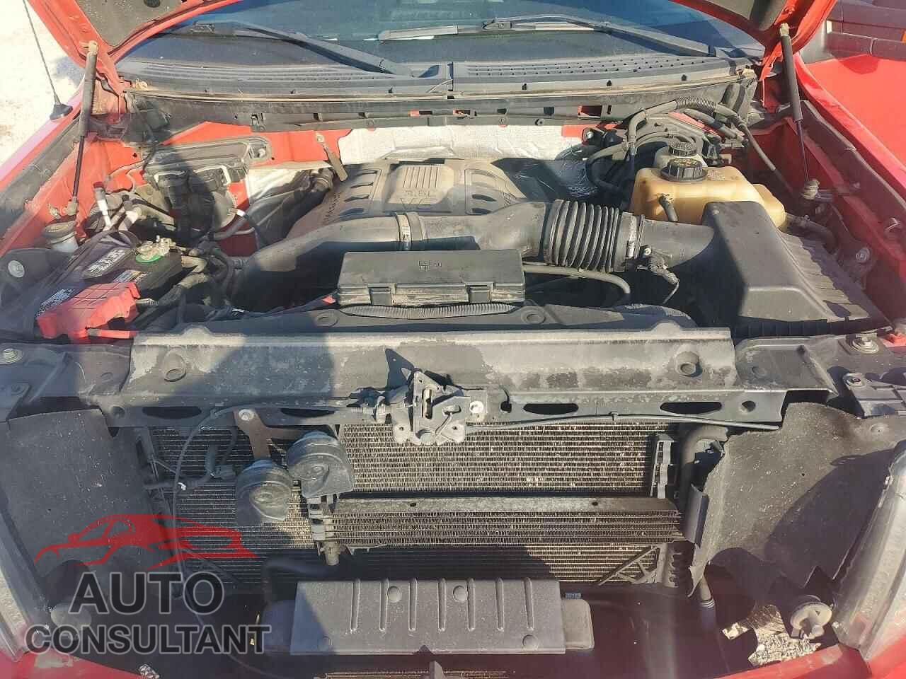FORD F150 2011 - 1FTFX1ET6BFD30966