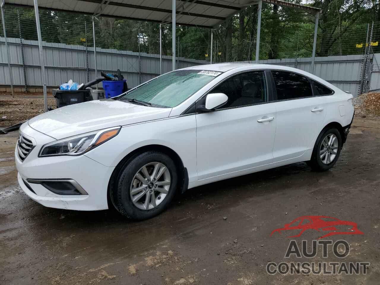 HYUNDAI SONATA 2017 - 5NPE24AF4HH483212